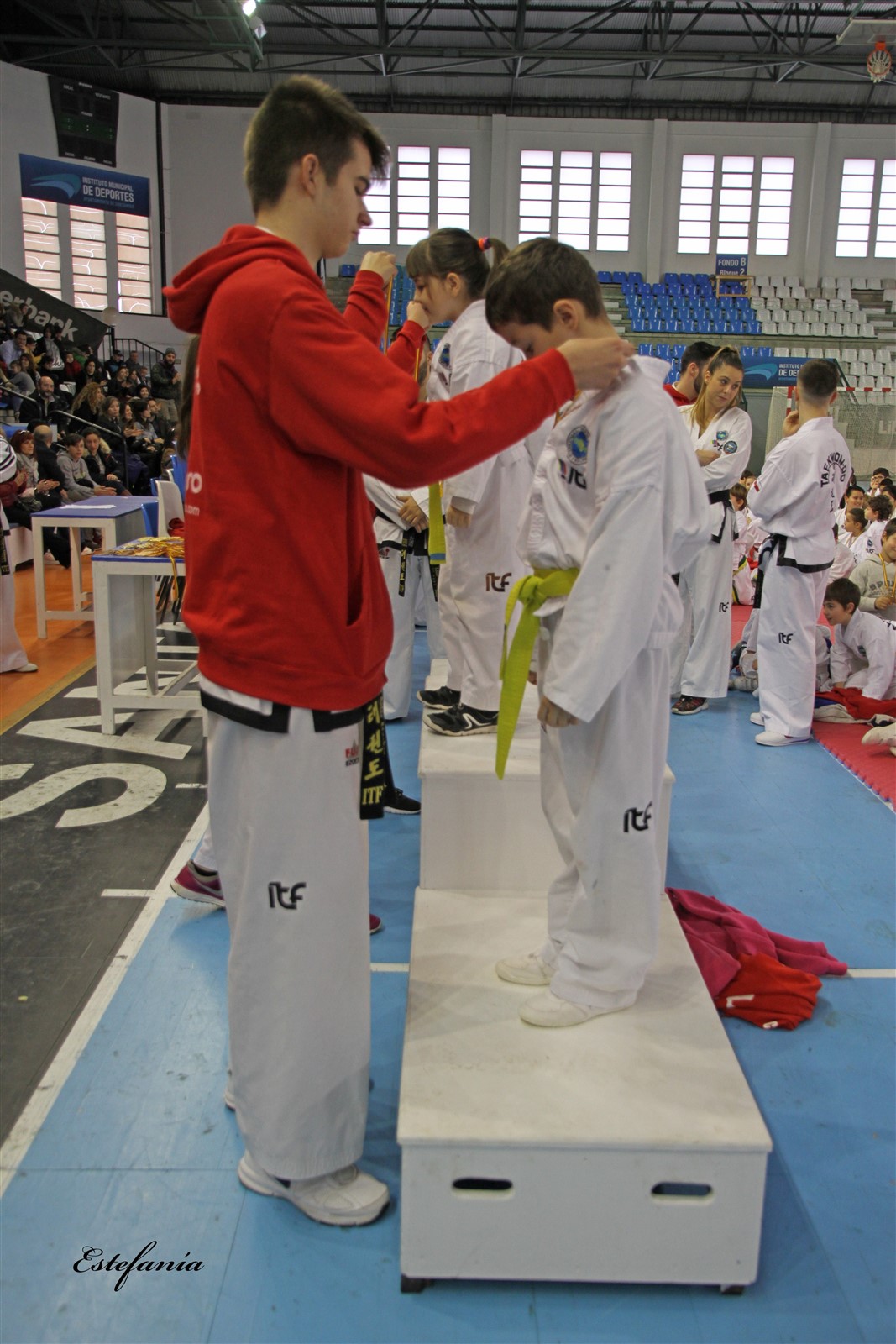 Taekwondo (249).jpg